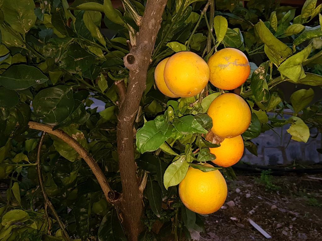 San Bartolomé Casa Rural La Hoyita De Tunte מראה חיצוני תמונה