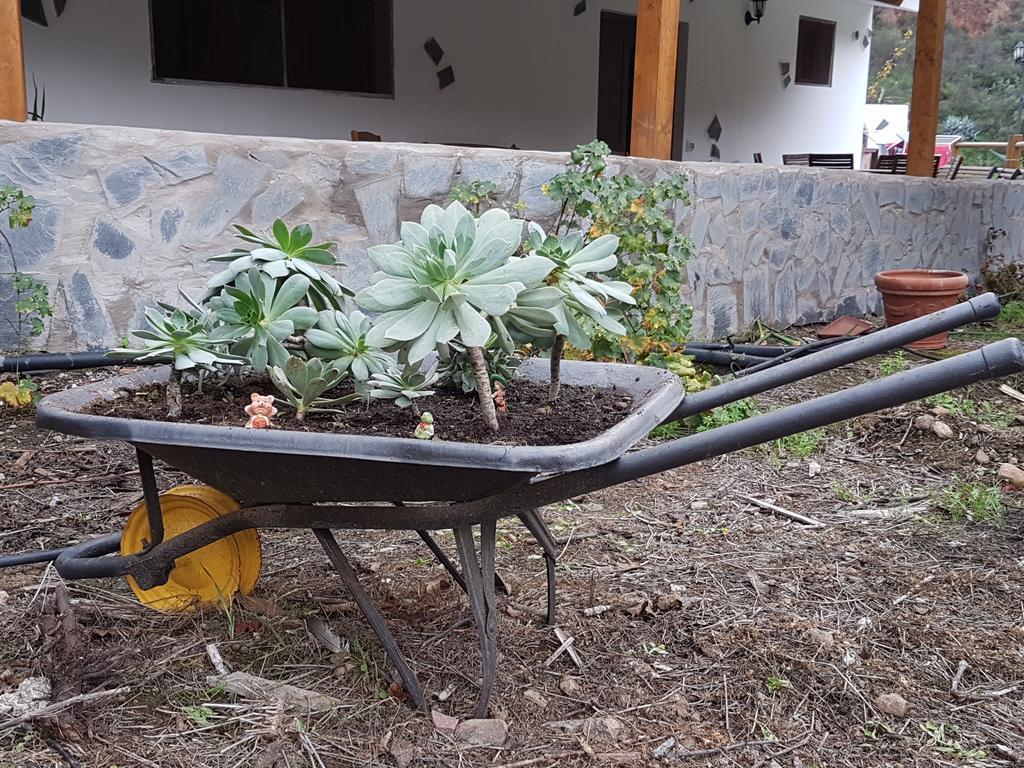 San Bartolomé Casa Rural La Hoyita De Tunte מראה חיצוני תמונה