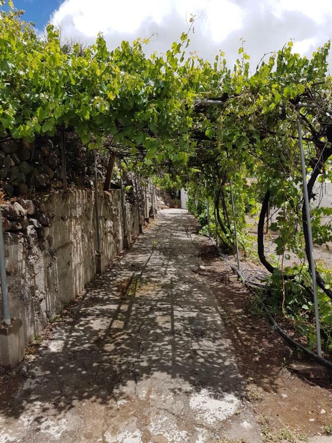 San Bartolomé Casa Rural La Hoyita De Tunte מראה חיצוני תמונה
