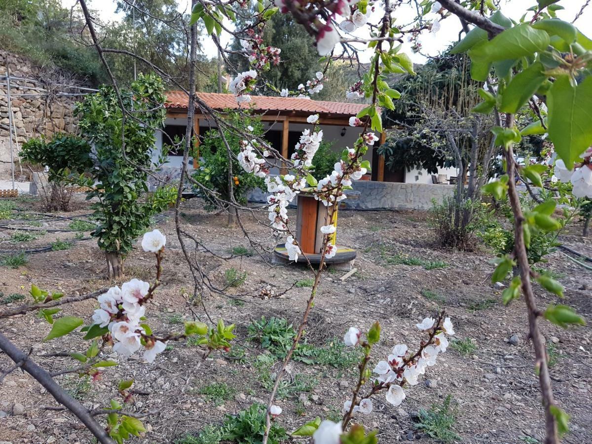 San Bartolomé Casa Rural La Hoyita De Tunte מראה חיצוני תמונה