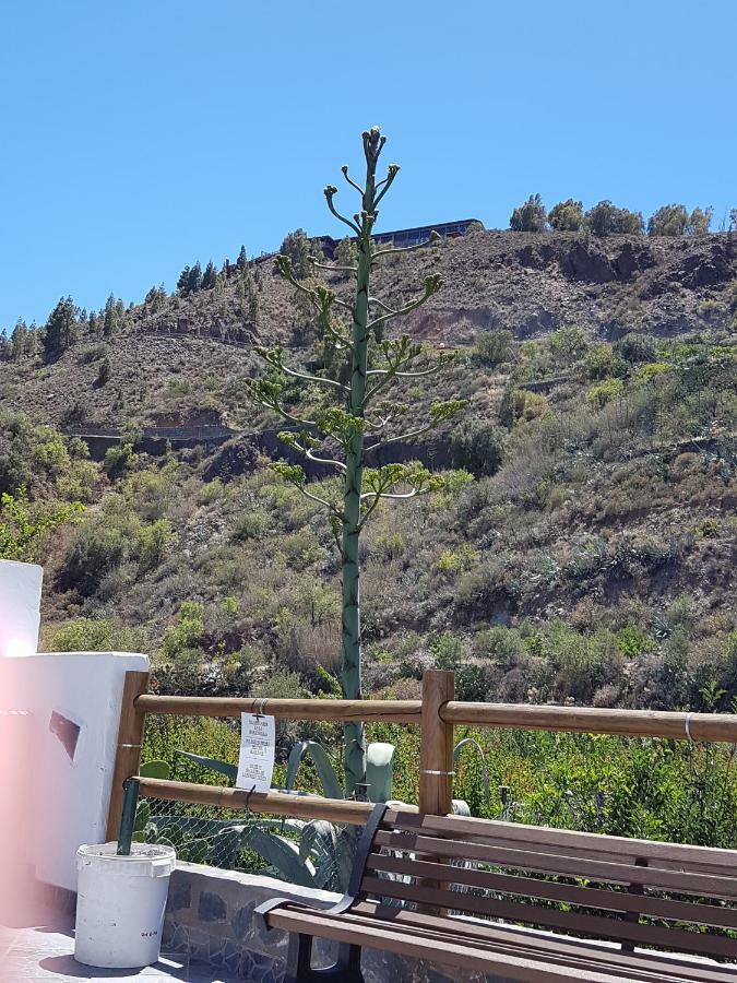 San Bartolomé Casa Rural La Hoyita De Tunte מראה חיצוני תמונה