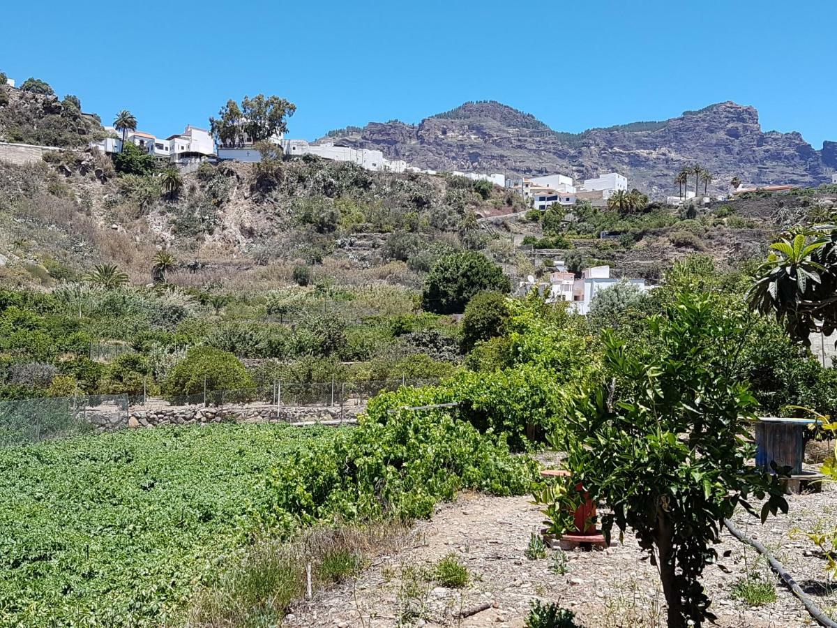 San Bartolomé Casa Rural La Hoyita De Tunte מראה חיצוני תמונה