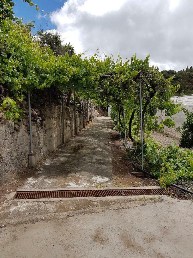 San Bartolomé Casa Rural La Hoyita De Tunte מראה חיצוני תמונה