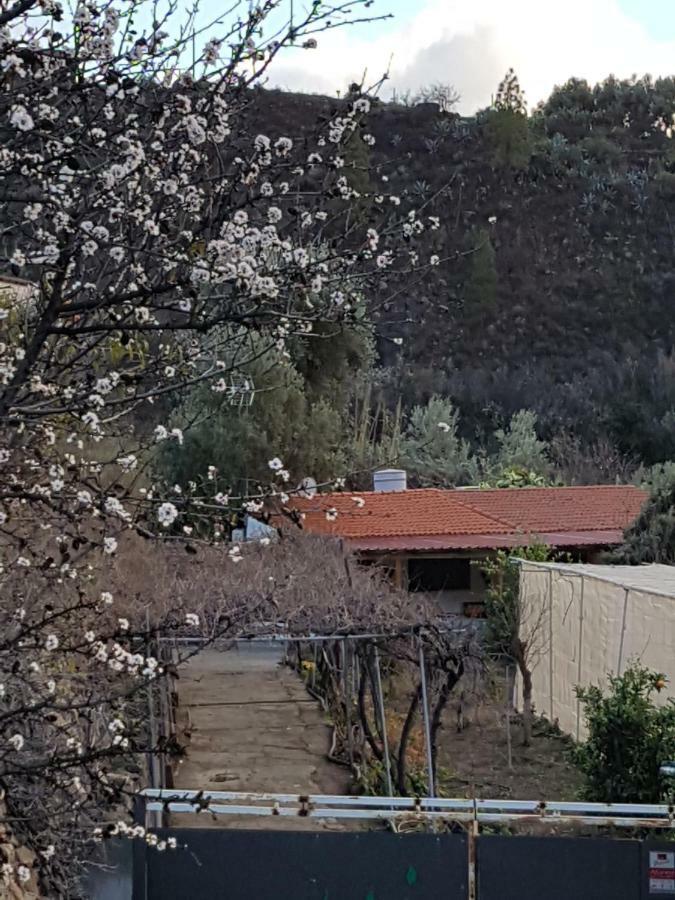 San Bartolomé Casa Rural La Hoyita De Tunte מראה חיצוני תמונה
