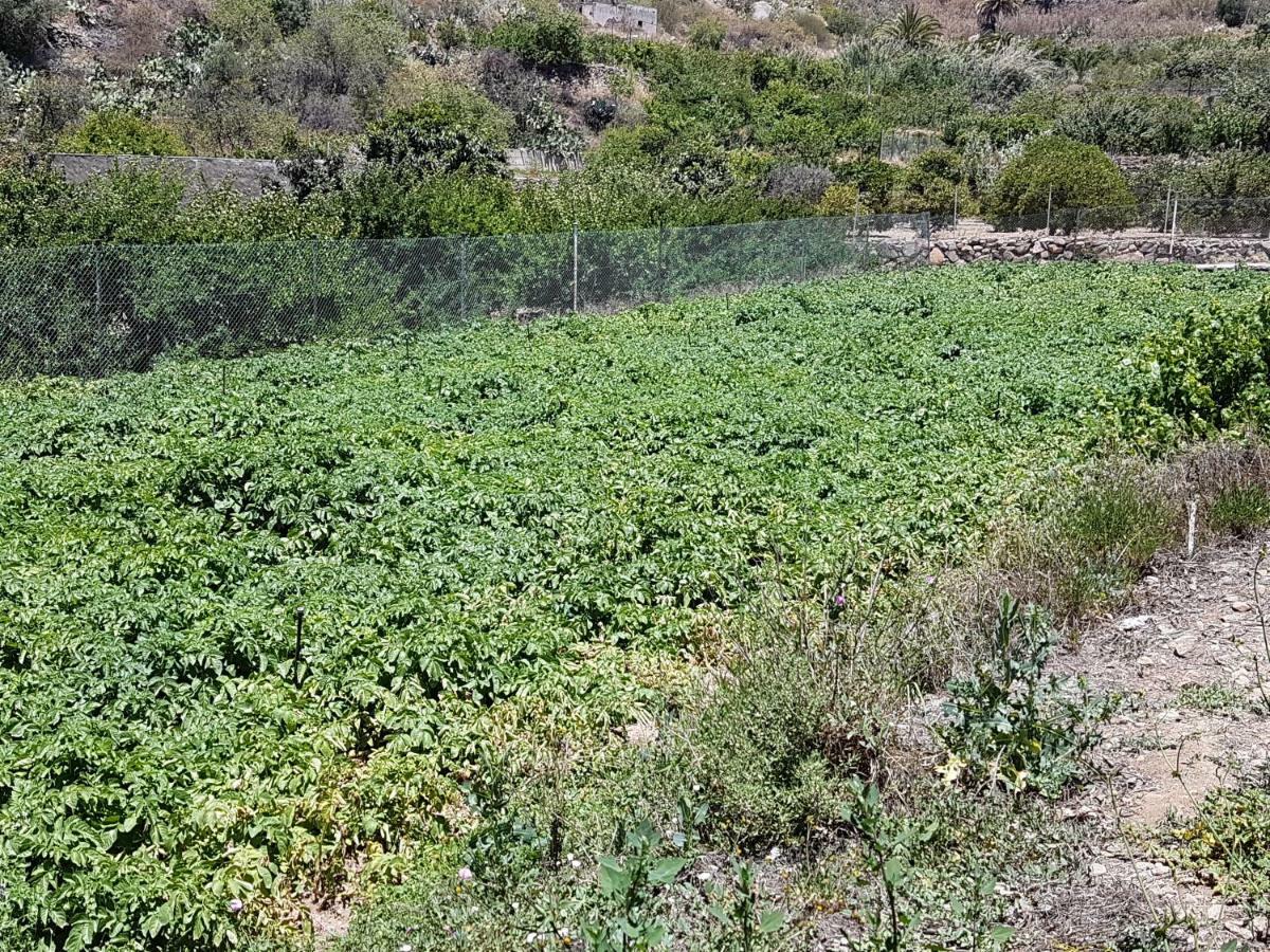 San Bartolomé Casa Rural La Hoyita De Tunte מראה חיצוני תמונה